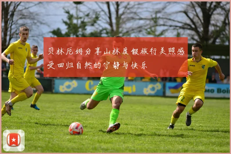 贝林厄姆分享山林度假旅行美照感受回归自然的宁静与快乐